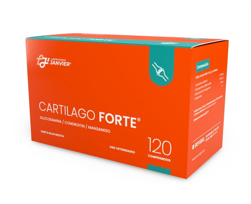 Cartilago Forte x 120